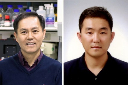 (왼쪽부터) 생명과학과 김진우 교수, 민광욱 박사