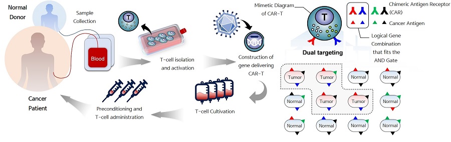 A schematic diagram of CAR therapy 