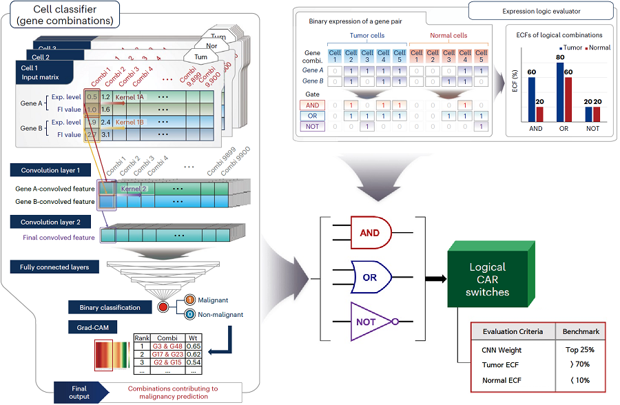 Schematics of key algorithms