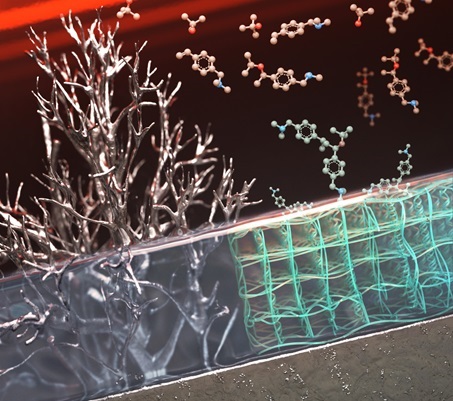 그림 1. 공중합체 고분자 보호막이 적용된 리튬 음극 그림