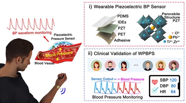 Figure 1. Schematic illustration of the wearable piezoelectric blood pressure sensor
