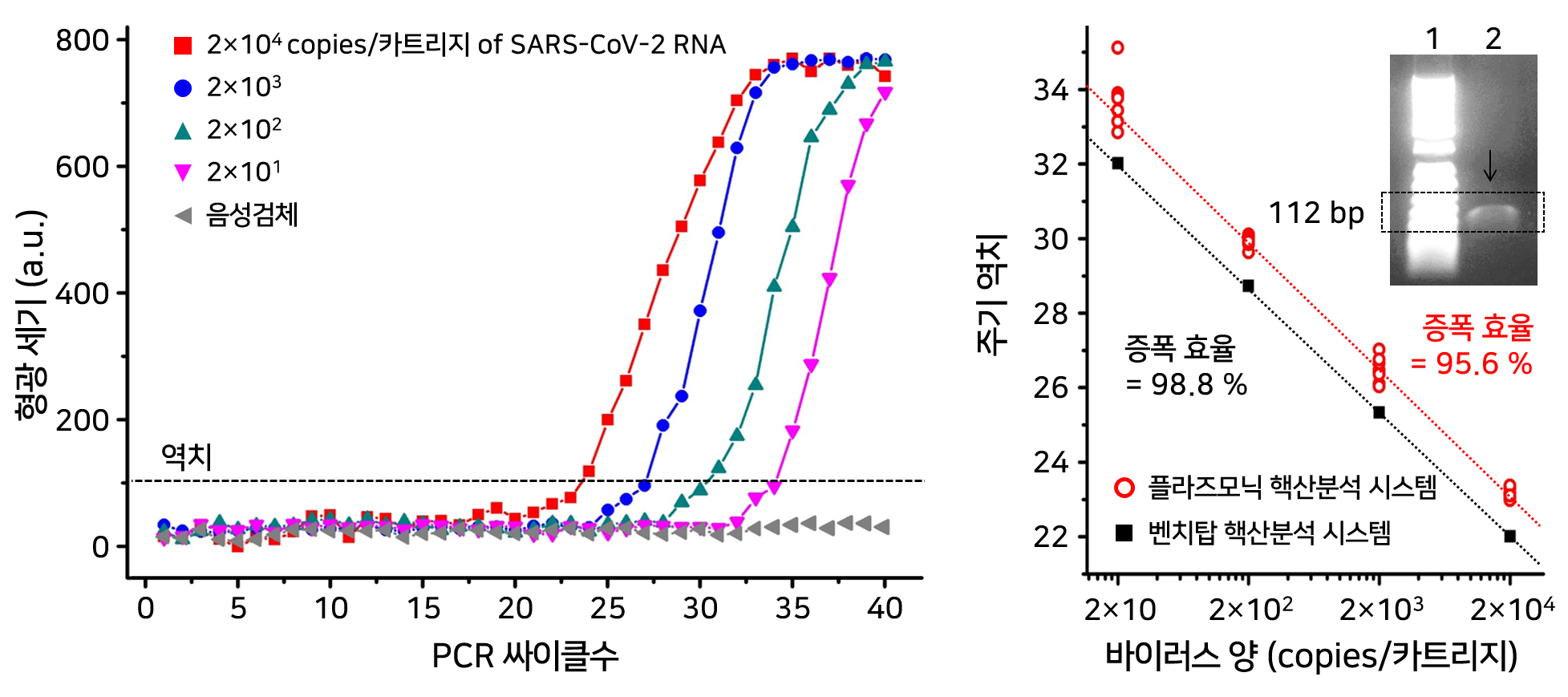SARS-CoV-2 RNA 시료에 대한 농도별 실시간 정량화 표준곡선 그래프 및 (우) 바이러스 농도와 주기역치의
