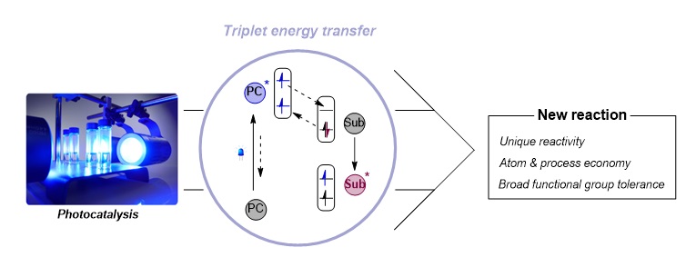 그림 1. 삼중항 에너지 전달 메커니즘