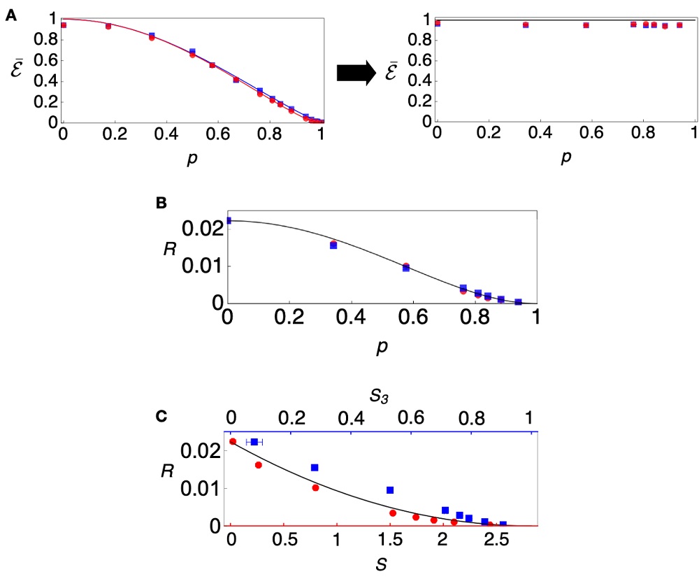 그림 2. 양자얽힘 복구 결과. A. (왼쪽) 양자검증 후 줄어든 양자얽힘, (오른쪽) 되돌림 측정 후 복구된 양자얽힘. B. 약한 양자측정의 세기에 따른 되돌림 확률. C. 되돌림 확률과 양자검증 정도 간의 상호 교환 관계.