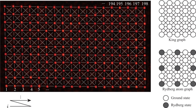 그림 1. 가로 18행, 세로 11열의 총 198개의 광 집게 사진이다. 각 광 집게에는 원자가 절반의 확률로 잡히며, 각 반복 측정마다 평균적으로 100개의 원자가 잡힌다. 원자들이 충분히 가깝게 붙어 있어 가장 가까운 원자와 그다음으로 가까운 대각 방향의 원자까지 연결된 킹 그래프를 이룬다. 오른쪽은 킹 그래프와 킹 그래프상에서 최대독립집합의 해를 나타낸 모식도이다