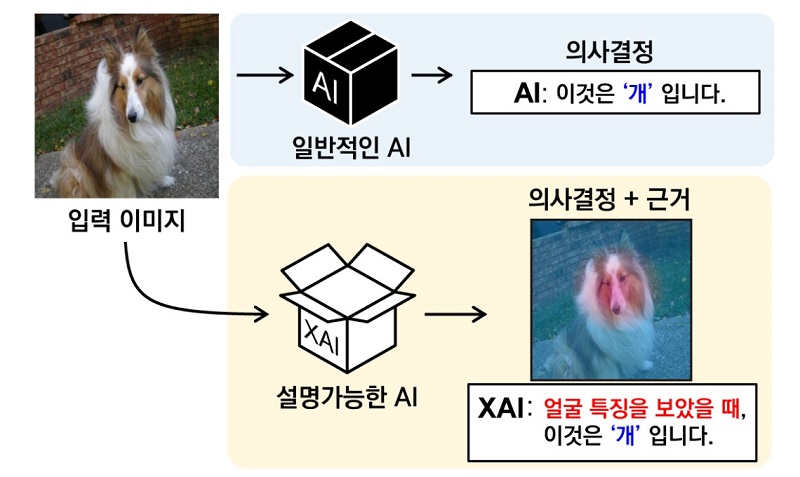 그림 1. 설명가능한 인공지능(XAI)의 개념도