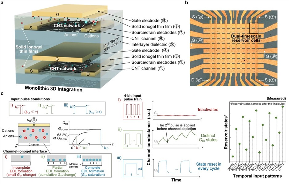Figure 1. Monolithic 3D-integrated multi-timescale reservoir architecture based on solid ion-gated transistors Figure 1. Monolithic 3D-integrated multi-timescale reservoir architecture based on solid ion-gated transistors
